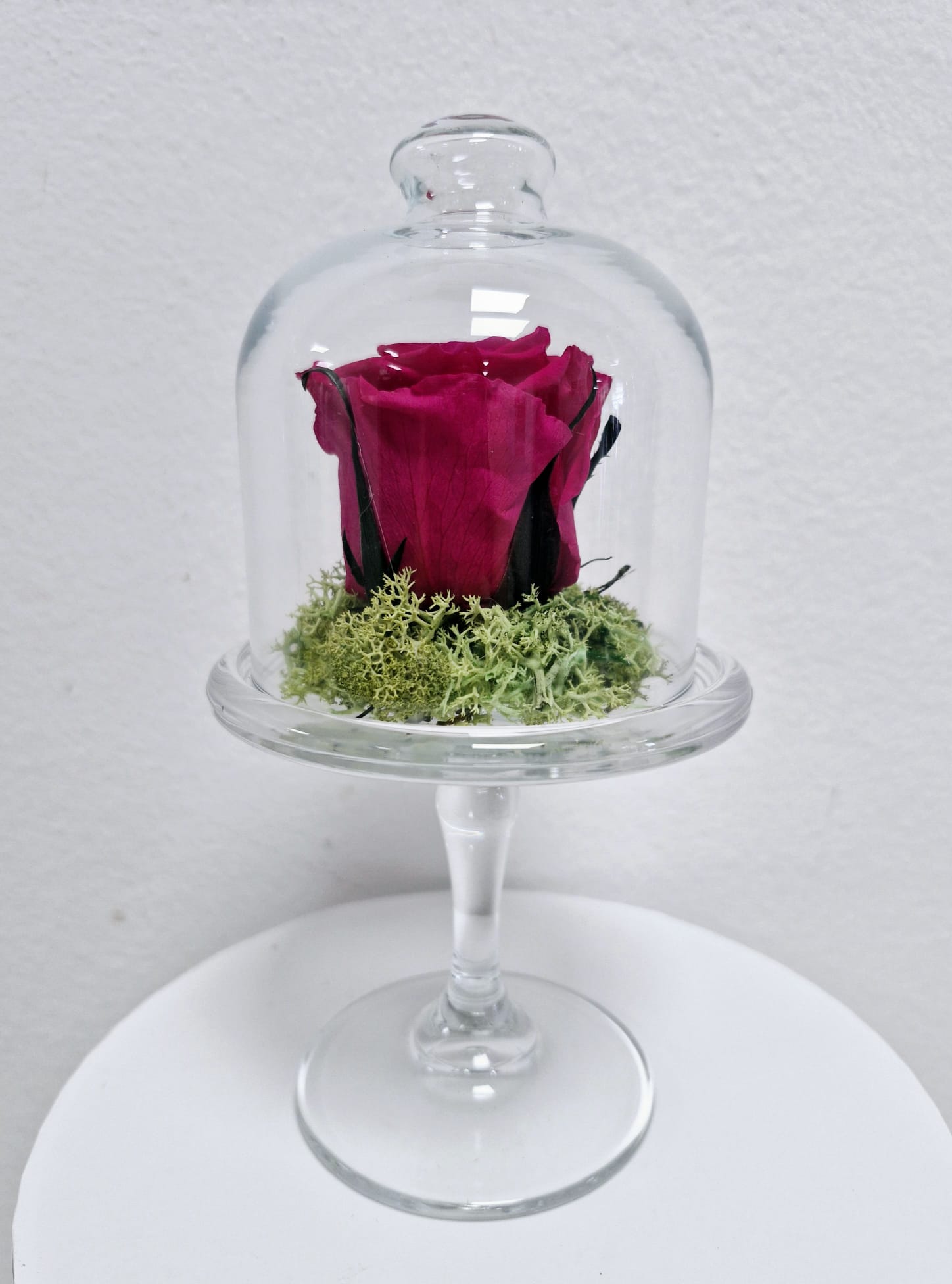 Cúpula de rosa bombonera alta