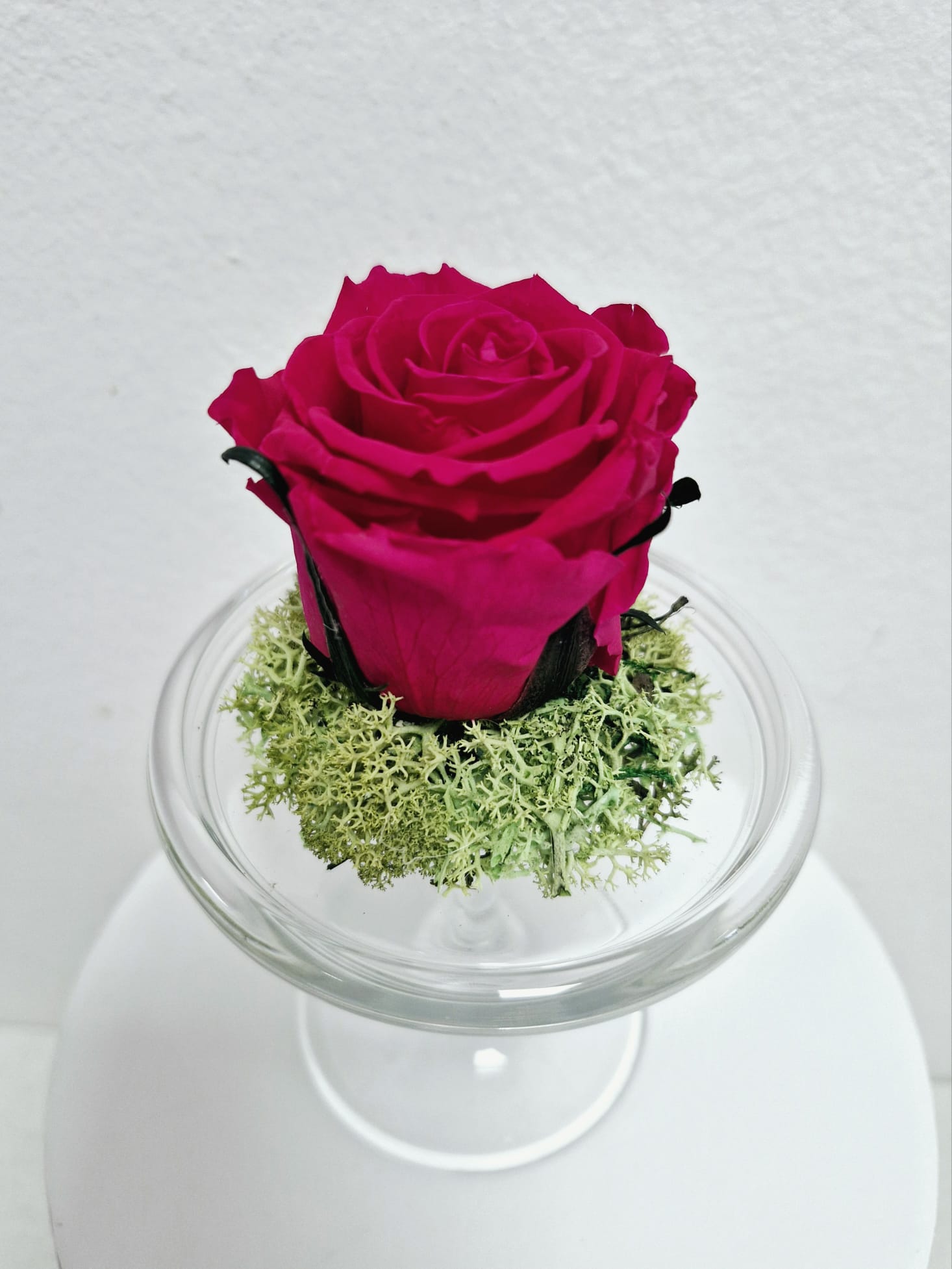 Cúpula de rosa bombonera alta - Imagen 2