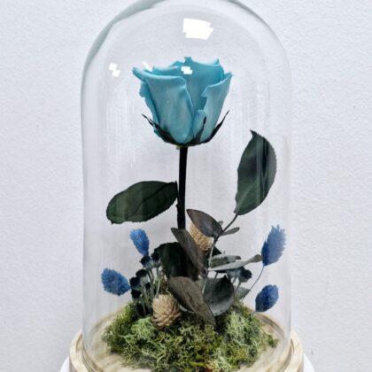 Cúpula de rosa preservada alta turquesa