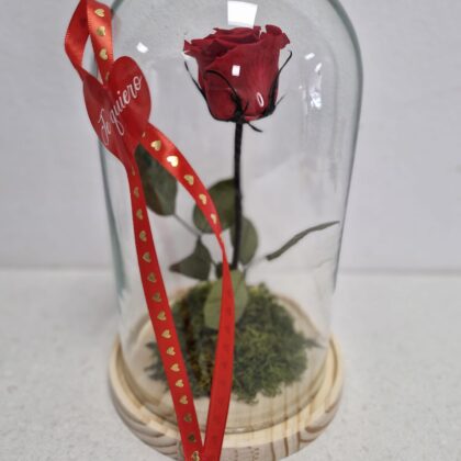 Cúpula con Rosa Preservada